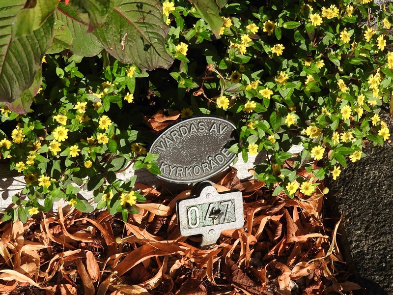 Gravnummer: BRO 2    47