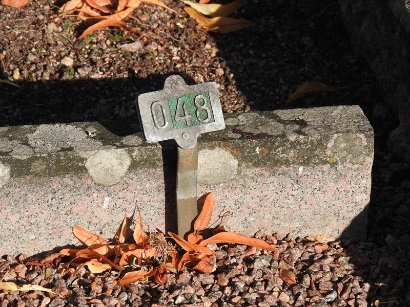 Hautatunnus: BRO 2    48