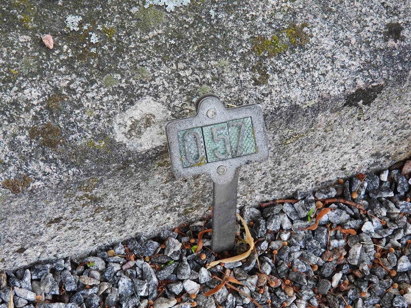 Hautatunnus: BRO 2    57