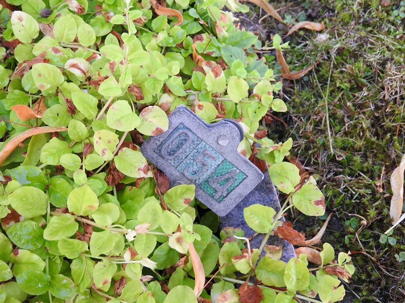 Gravnummer: BRO 2    54