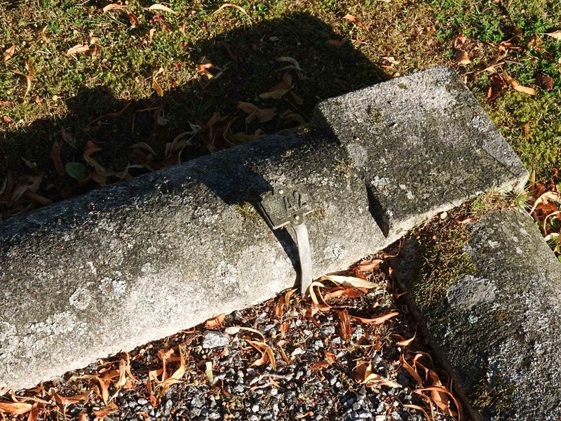 Hautatunnus: BRO 2    42