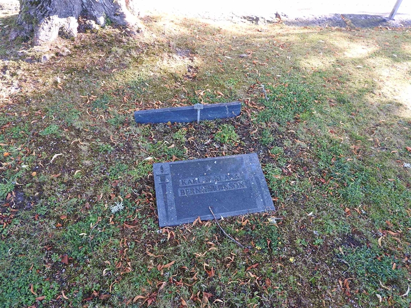 Hautatunnus: BRO 2    60