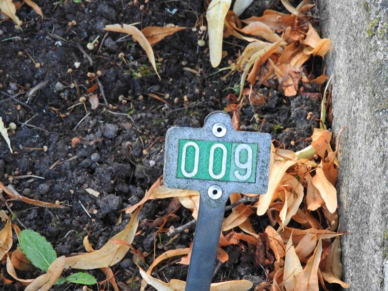 Hautatunnus: BRO 2     9