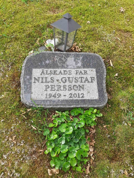 Grave number: M3 C   118