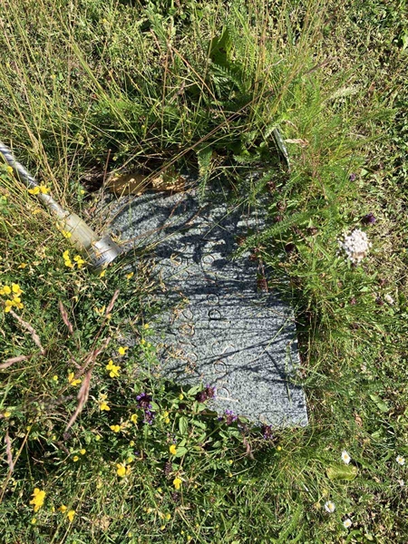 Grave number: R 05M 224