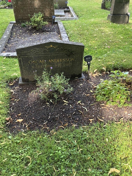 Grave number: 1 03   112