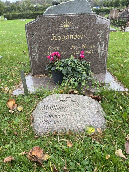 Hautatunnus: 4 13    12