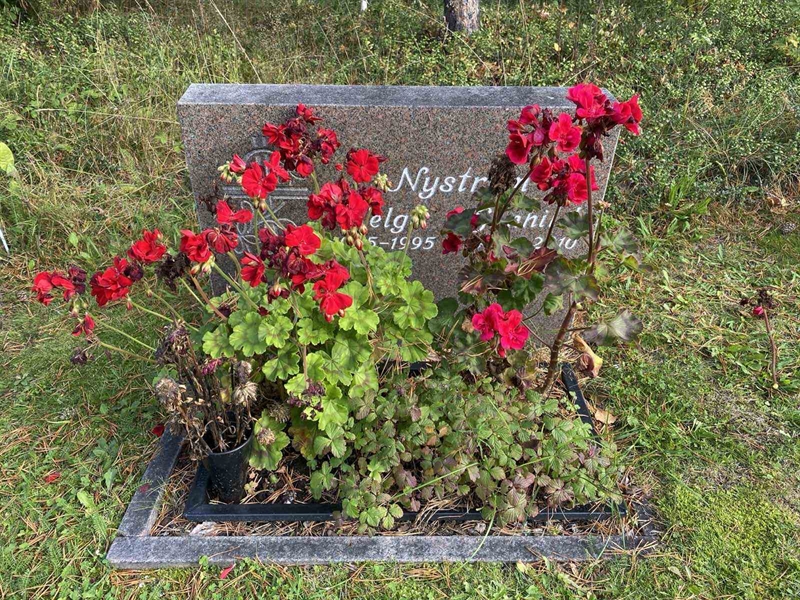 Grave number: 3 16   318