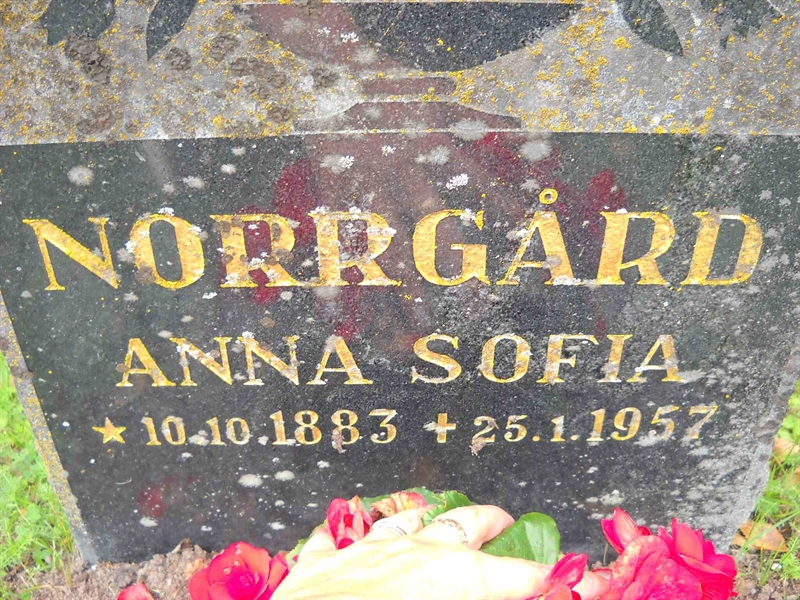Grave number: 3 MB 16 41