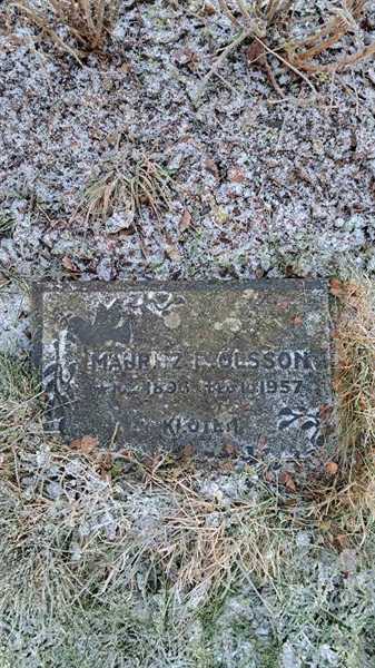 Hautatunnus: 6 05     91