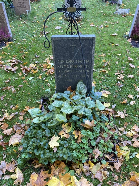 Gravnummer: 1 H   334