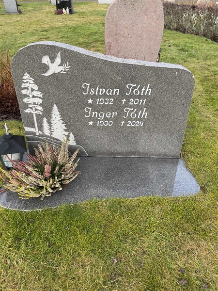 Grave number: Ärt 96 36 66+67