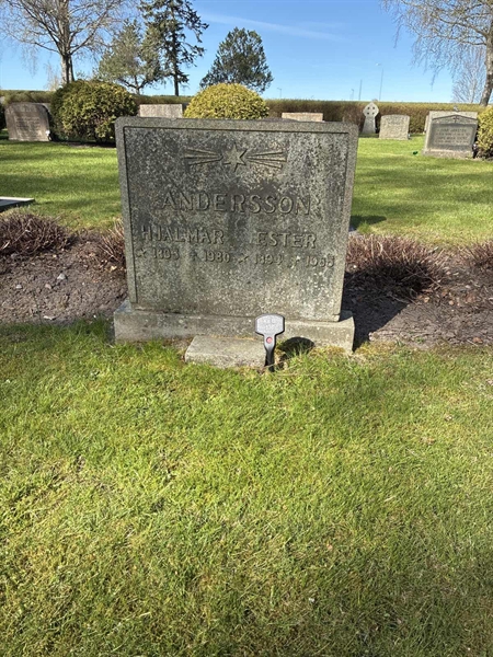 Gravnummer: 22 B   136