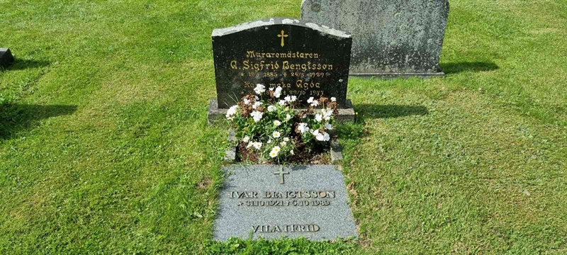 Grave number: LM 3 50  014