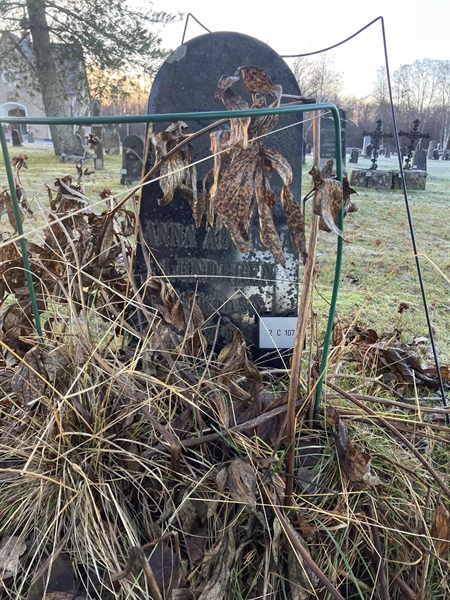 Hautatunnus: 2 C   107