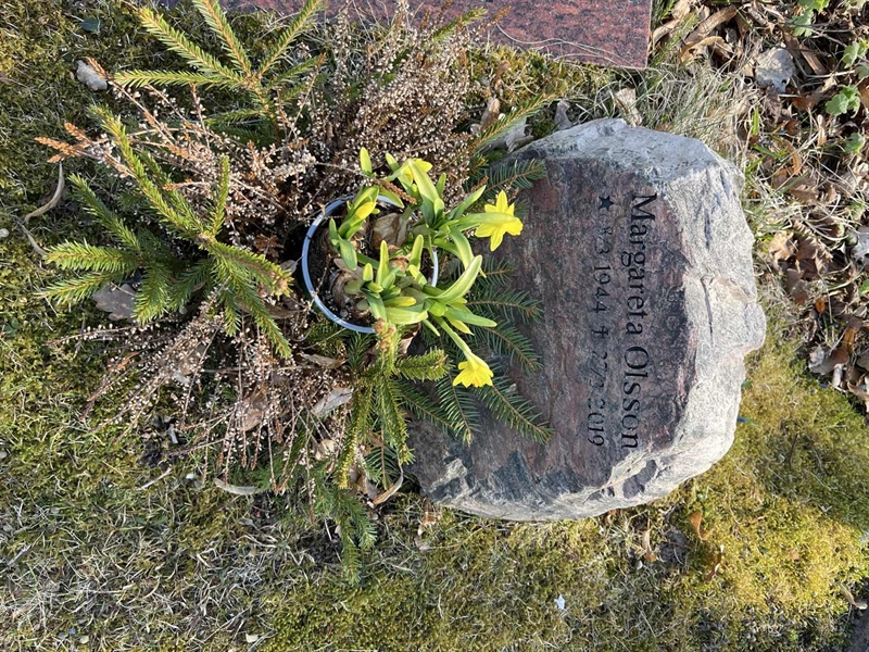 Hautatunnus: Ärt 24 12 72