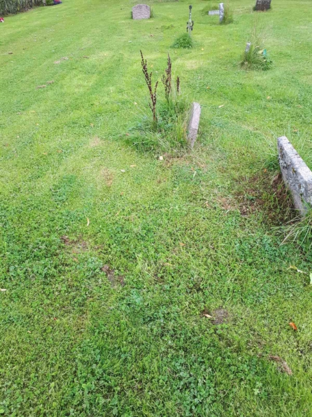 Gravnummer: NK A A     5