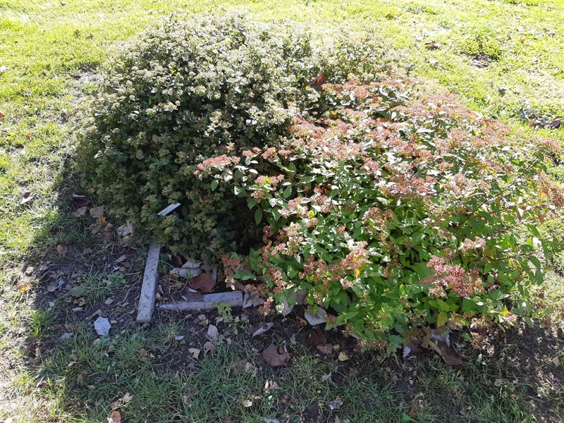 Hautatunnus: Fr 7   609