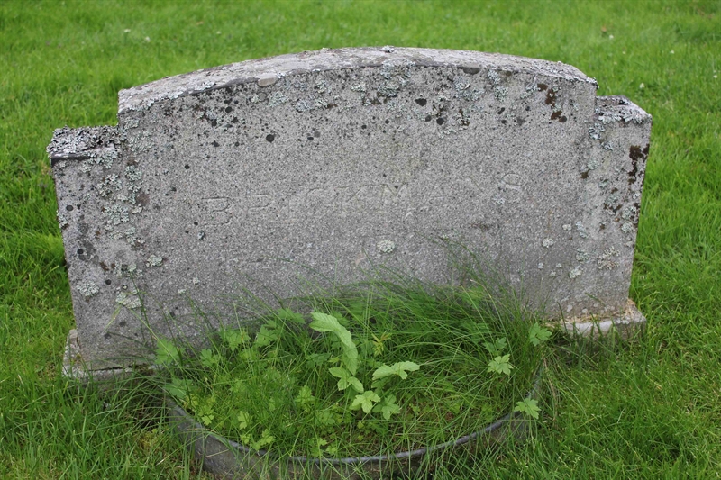Grave number: A N   79