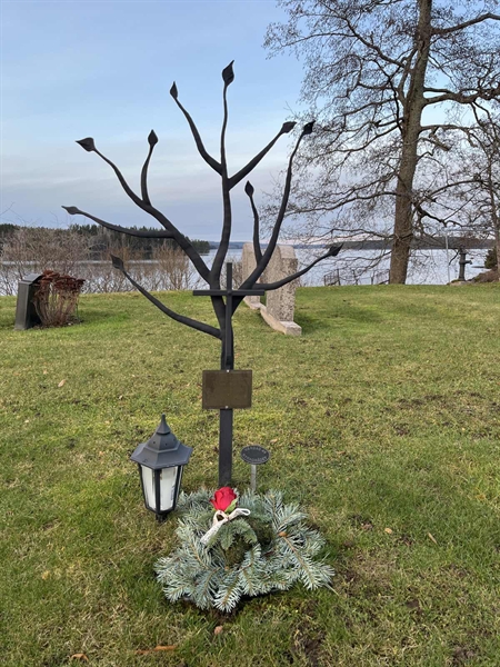 Hautatunnus: Vårv Kv1 509