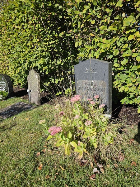 Grave number: Fr 7   639