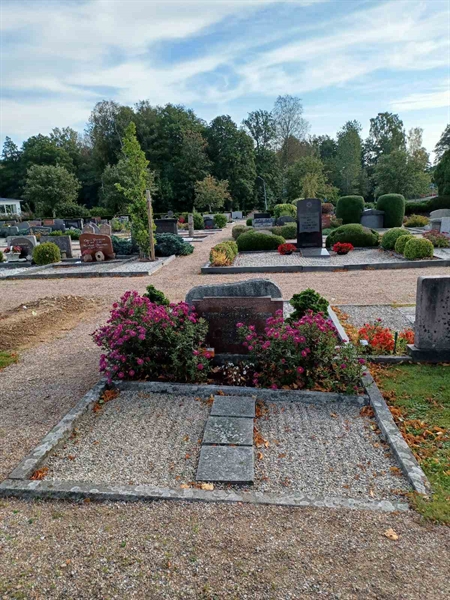 Grave number: OS D   202, 203