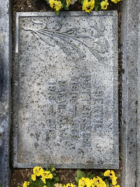 Grave number: 1 04 295, 296