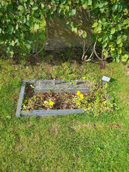 Grave number: 1 26    35-36