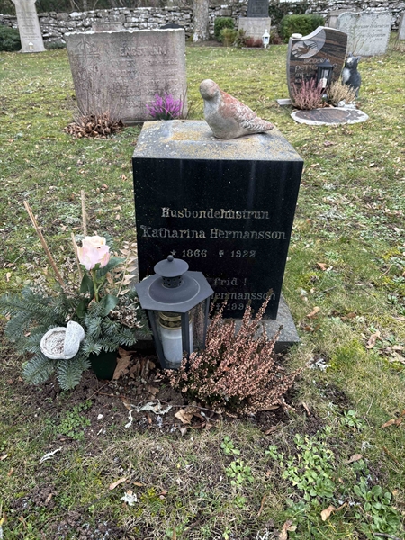 Gravnummer: LE   315