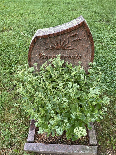Grave number: 5 01   129