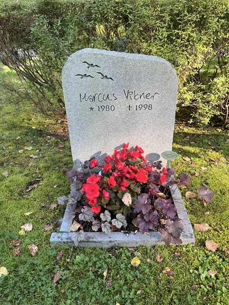 Hautatunnus: 30ST HÄGG     1