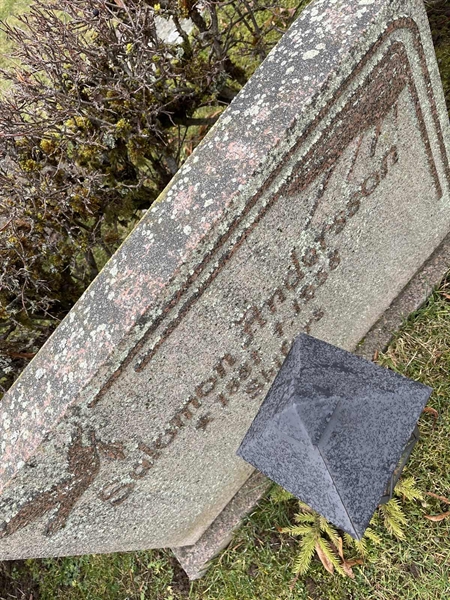 Hautatunnus: Vårv Kv4 118