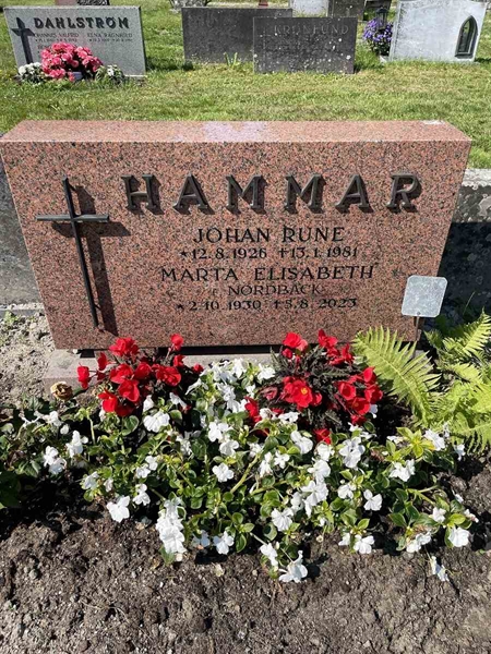 Hautatunnus: N 5 2   215