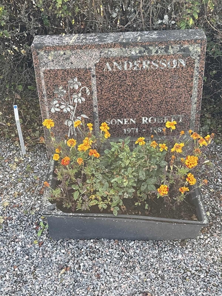 Grave number: 4 N ND   219