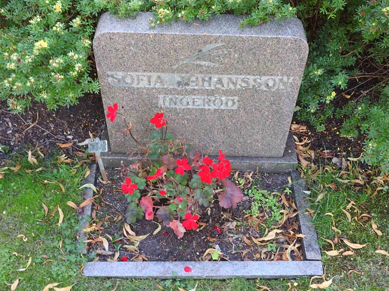 Gravnummer: BRO 6    18