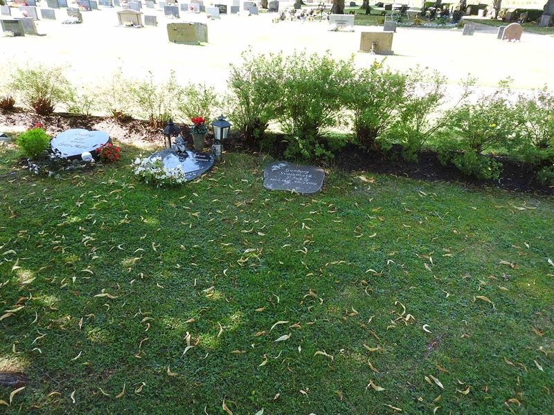 Hautatunnus: BRO 6    29