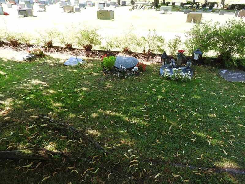 Hautatunnus: BRO 6    31