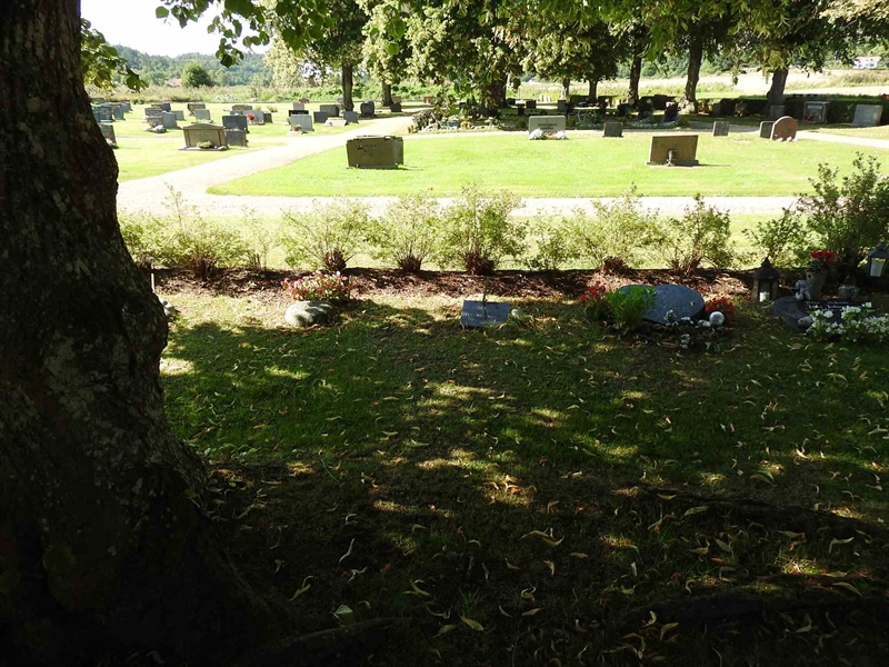 Gravnummer: BRO 6    32