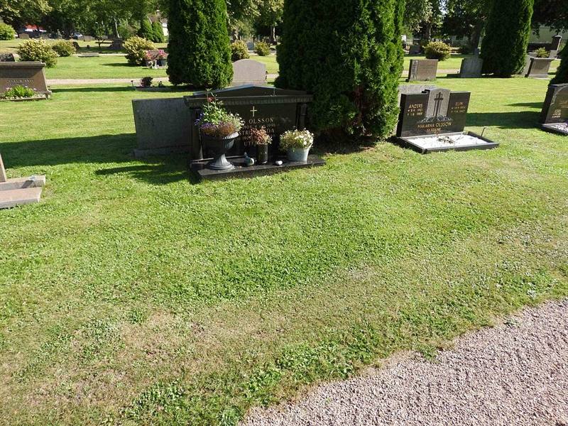 Hautatunnus: BRO 7    59