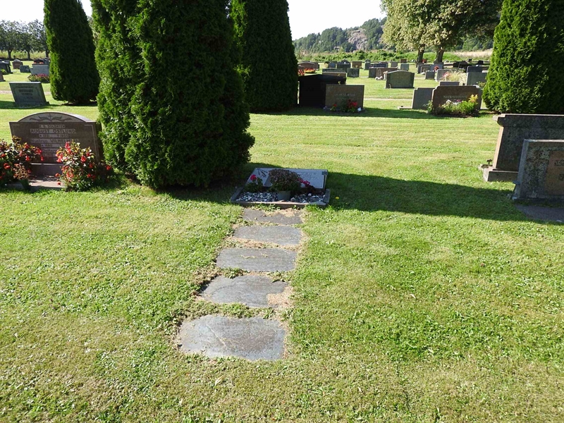 Grave number: BRO 7     5