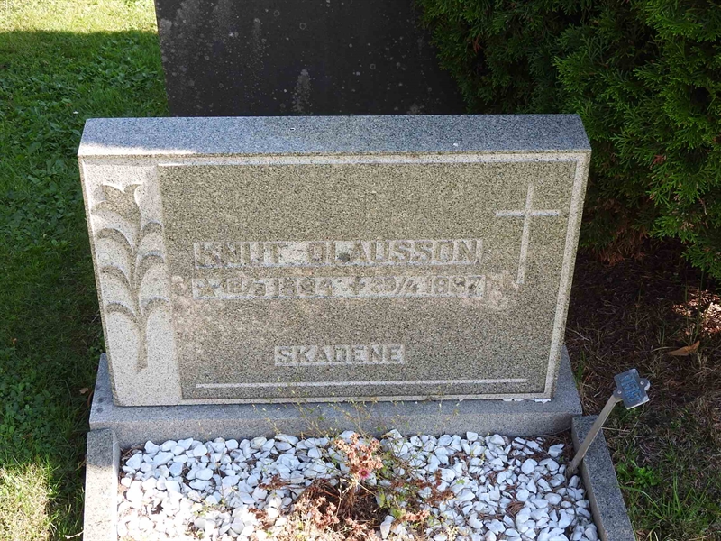 Hautatunnus: BRO 7    55