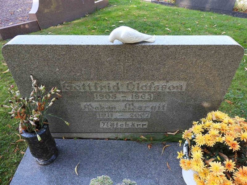 Gravnummer: BRO 8     6