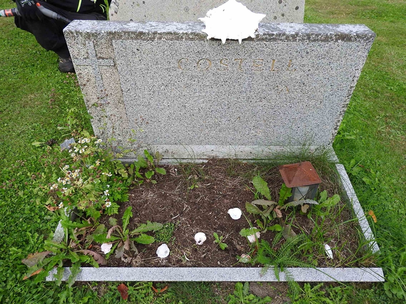 Hautatunnus: BRO 10    17