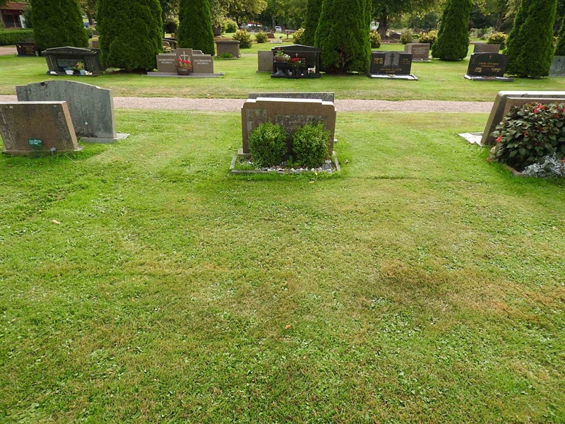 Hautatunnus: BRO 10    23