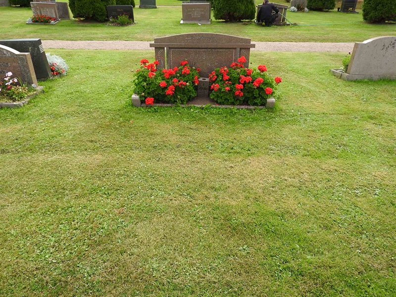 Hautatunnus: BRO 10    31