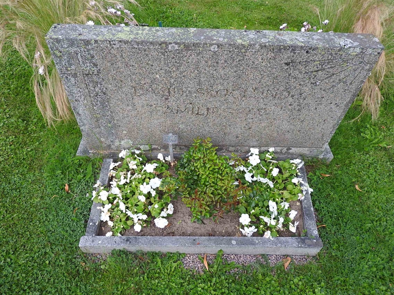 Grave number: BRO 10     3