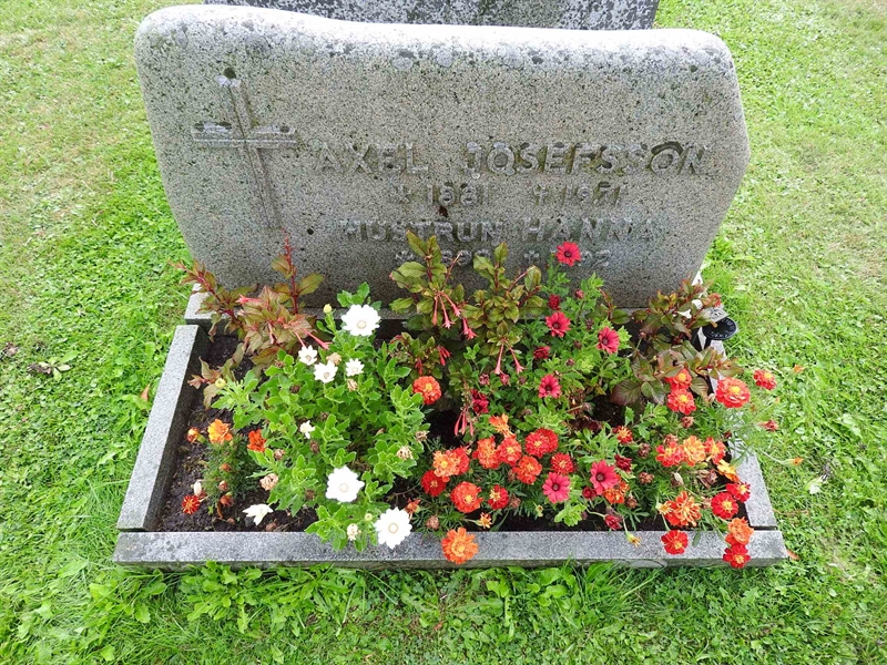 Hautatunnus: BRO 10    35