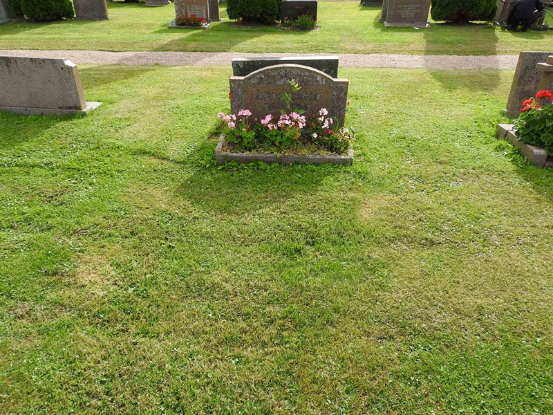 Hautatunnus: BRO 10    30