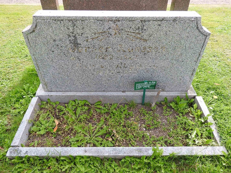 Hautatunnus: BRO 10    25