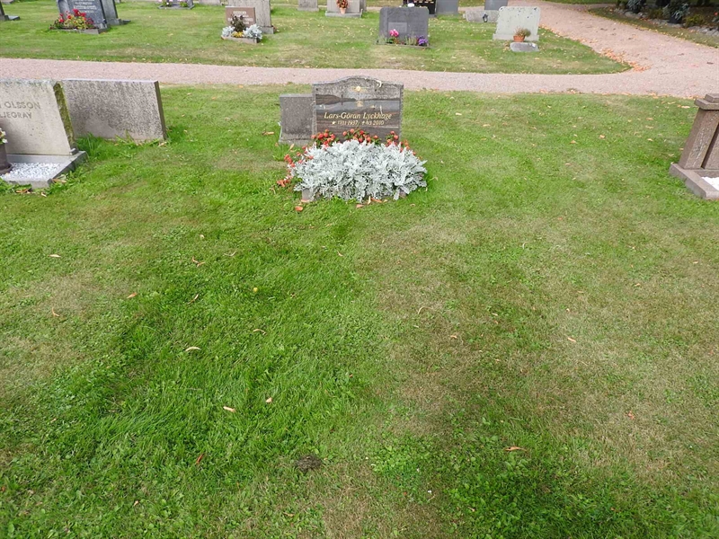 Hautatunnus: BRO 10    38